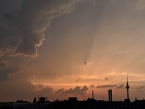 Breyer Coaching Berlin